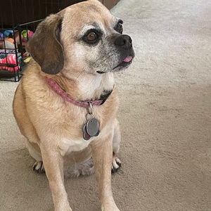 Meet your Posher, Erica